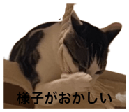 845733848