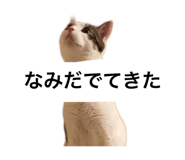 845733849