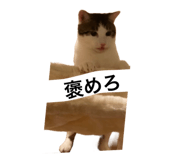 845733850