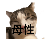 845733852