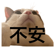 845733853
