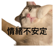 845733854