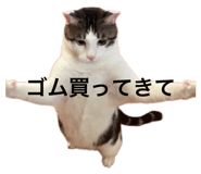 845733855
