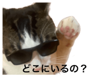 845733857