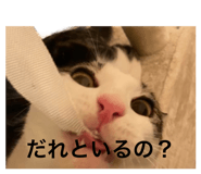 845733858