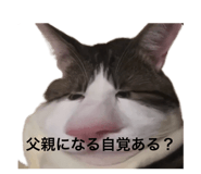 845733859