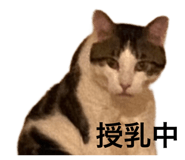 845733862