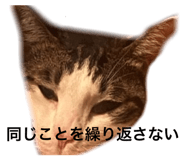 845733863