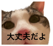 845733865