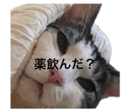845733866