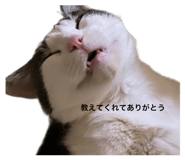 845733868