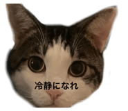 845733869