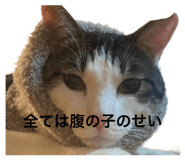 845733870