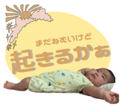 845734066