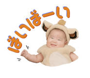 845734071