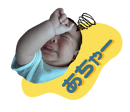 845734086