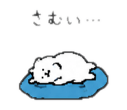 845734306