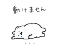 845734308