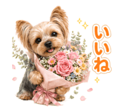 845734351