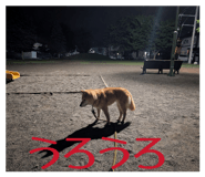 845734544