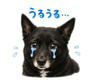 845734762