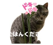 845734836