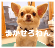 845735504