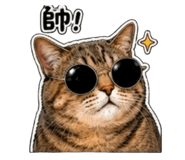 845738253