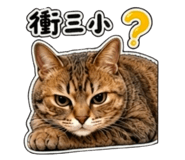 845738260