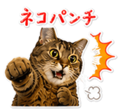 845738362