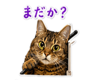 845738382