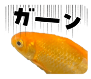 845740492