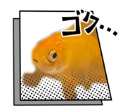 845740494