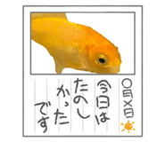 845740502