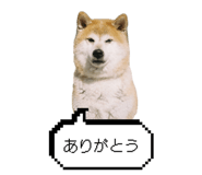 845740553