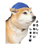 845740554