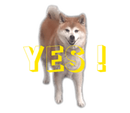 845740555