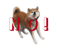 845740556