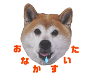 845740557