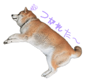 845740558