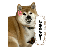 845740560