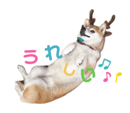 845740562