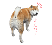 845740564