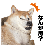 845740565