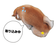 845740566