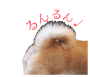 845740567