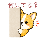 845741163