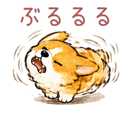 845741168