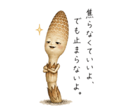 845742331