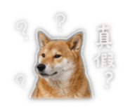 845742555